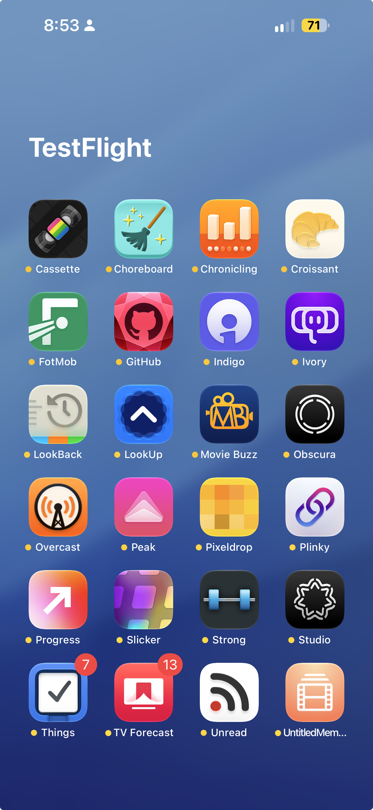 TestFlight folder in App Library